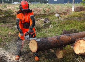 Husqvarna's professional logging ambassadors have been deeply involved in the new chain's production