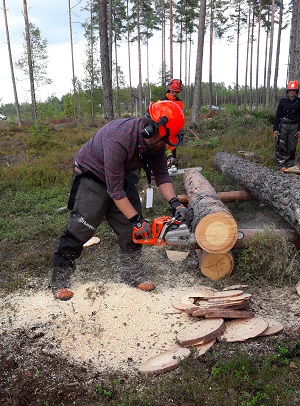 Service Dealer's editor tries out the new chain