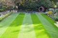 Britain's Best Lawn