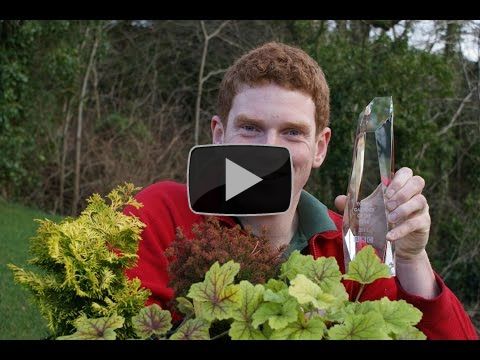 How Perennial Helps - John Foley