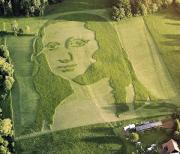 The completed Mona Lisa portrait