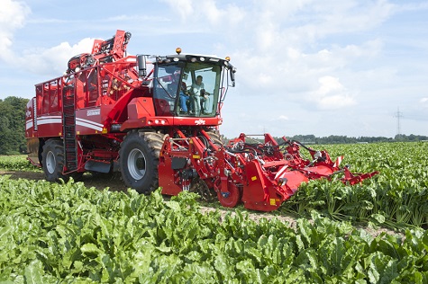 Beet harvesting