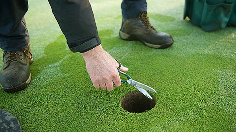 Call not to lockdown your turf management