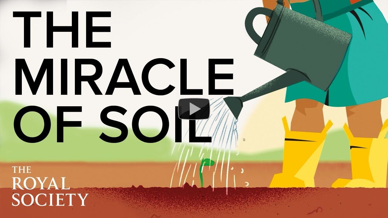 The miracle of soil | The Royal Society
