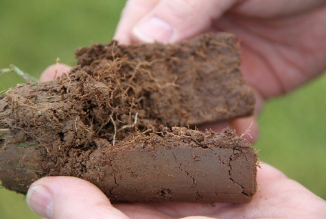 Soil sample