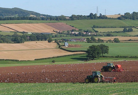 July 2020 tractor sales were well below those of the same month last year