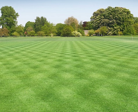 Limagrain’s MM grass seed in use at Oxford University