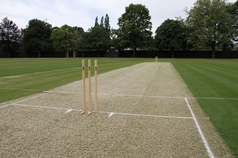 The death of grass roots cricket?