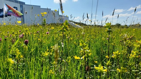 Biodiversity winner