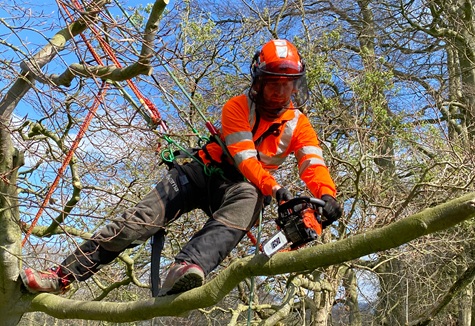 Chainsaw training