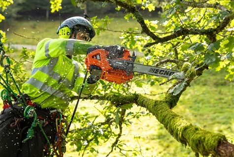 Training centre announced