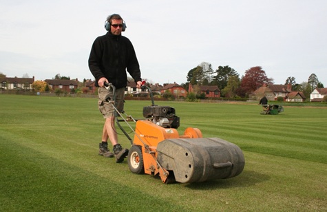 Cricket preparations